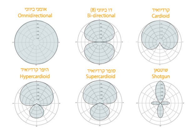 דפוסי קליטה פולאריים