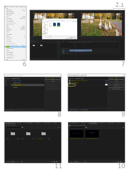 ייבוא לפרמייר שלב 2
