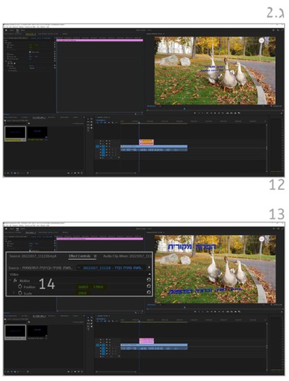 בחירת שכבות לייבוא