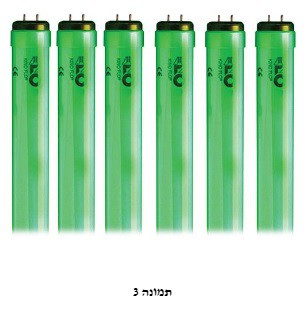 נורות קינו פלו ירוקות