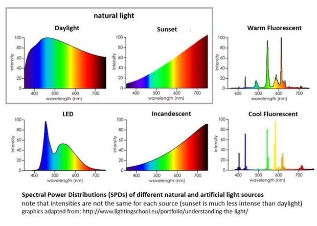 השוואת ספקטרום מקורות אור
