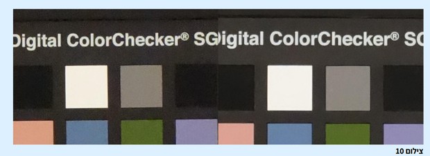 השוואה ויזואלית רולינג מול גלובל