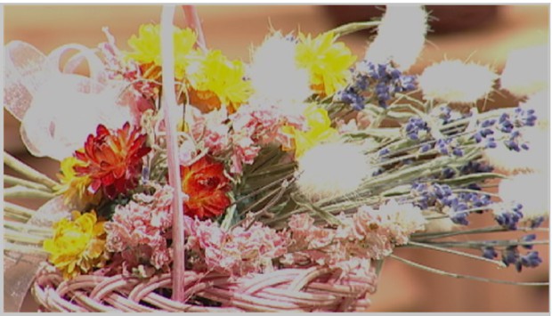 ללא תיקון ברך