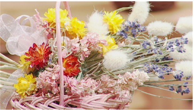 עם תיקון ברך