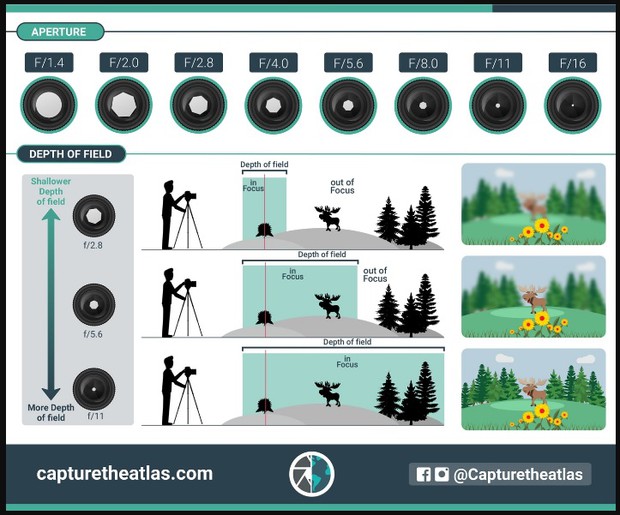 טבלת צמצם ועומק שדה