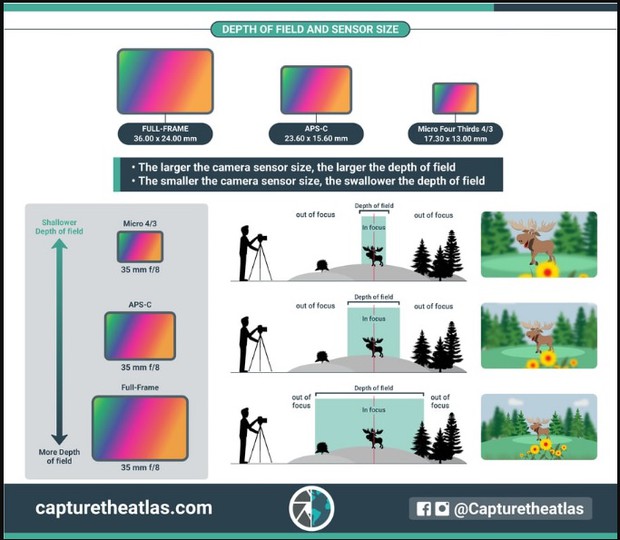 השוואת גדלי חיישנים
