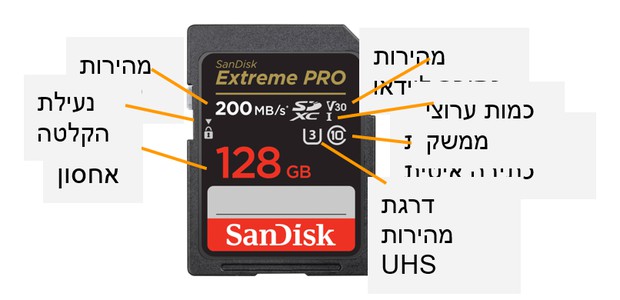 SD Cards Comparison