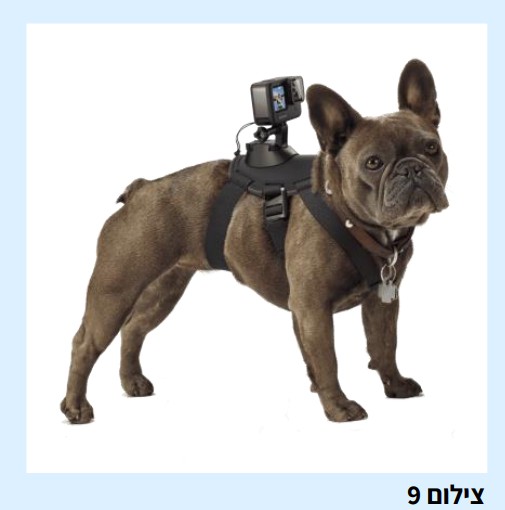 צילום 9: המחשה לייצוב תמונה במצלמות אקסטרים