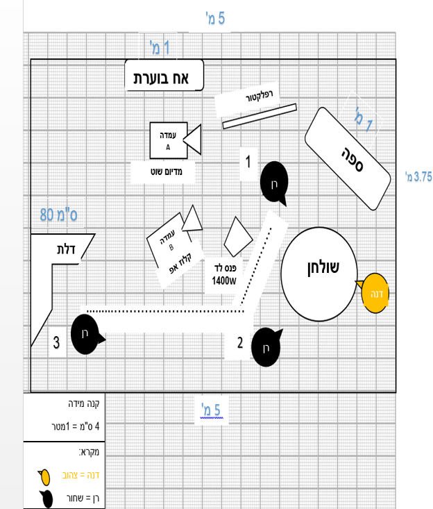 דוגמה לפלורפלן