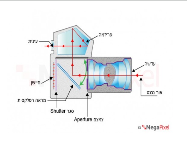 תרשים מבנה פנימי של מצלמת DSLR
