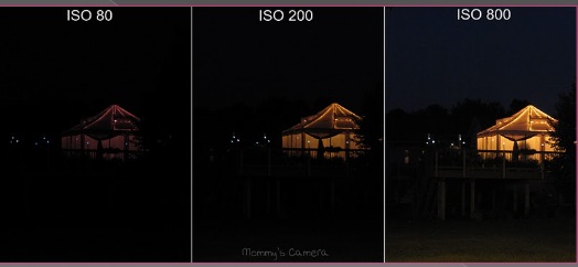 דוגמת ISO בינוני