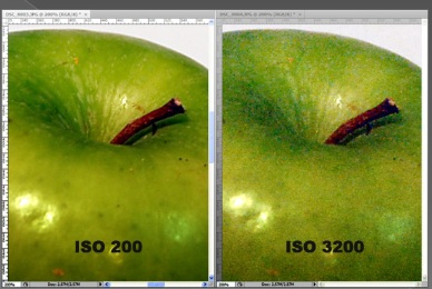 השוואת ISO - תמונה נקייה