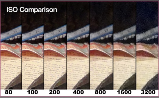 השוואת ISO - תמונה רועשת