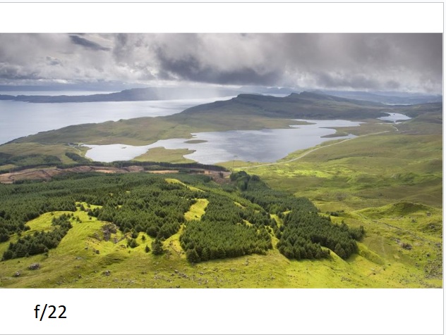 דוגמת צילום 11