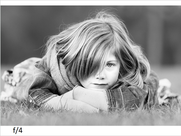 דוגמת צילום 13