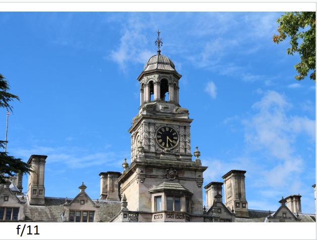 דוגמת צילום 14