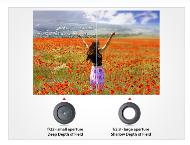 דוגמת צילום 17