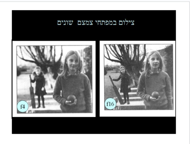 דוגמת צילום 18