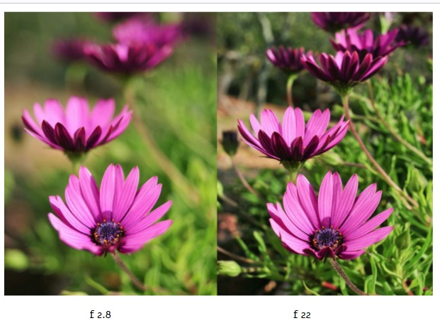 המחשה ויזואלית 5