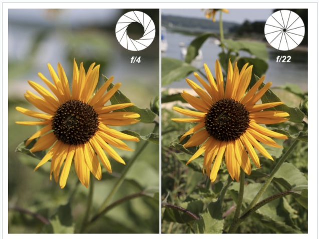 המחשה ויזואלית 6