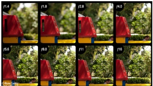 דוגמת צילום 7