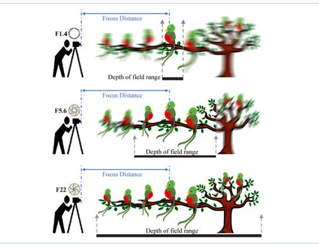דוגמת צילום 8