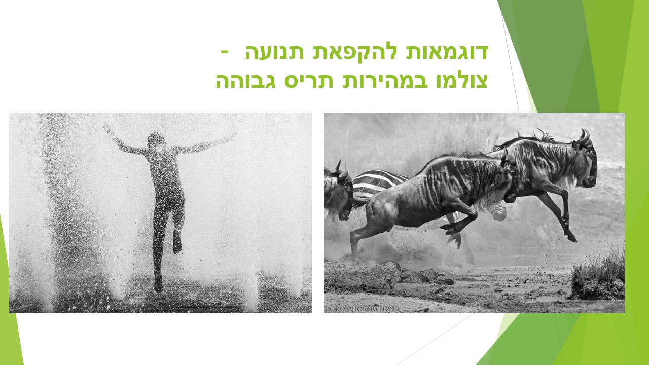 דוגמה לתריס 17