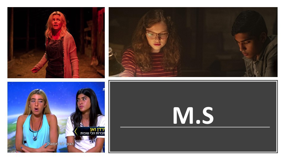 פריים דוגמה 11