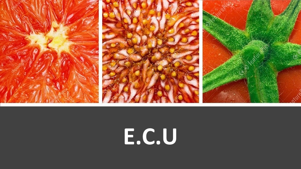 פריים דוגמה 23