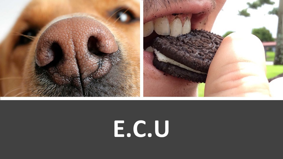 פריים דוגמה 3