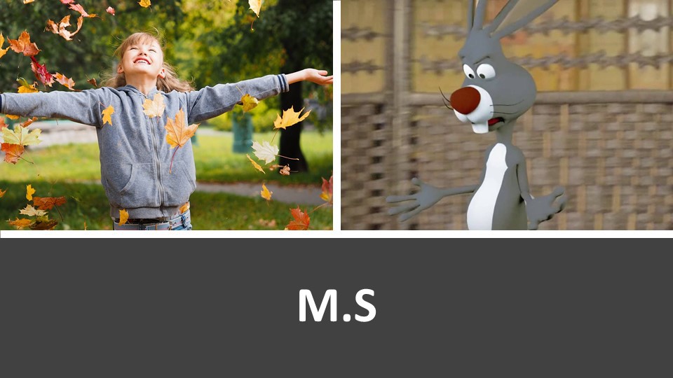 פריים דוגמה 8