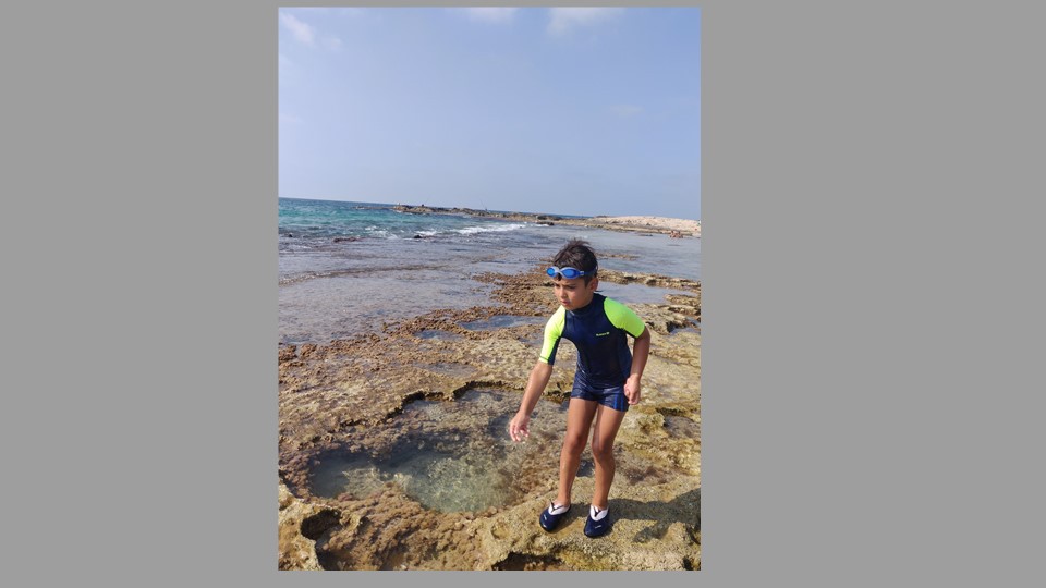 דוגמה לחוק השלישים 10