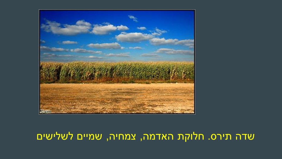 דוגמה לחוק השלישים 3