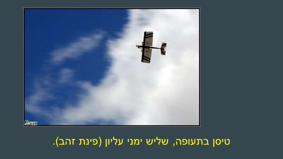 דוגמה לחוק השלישים 4