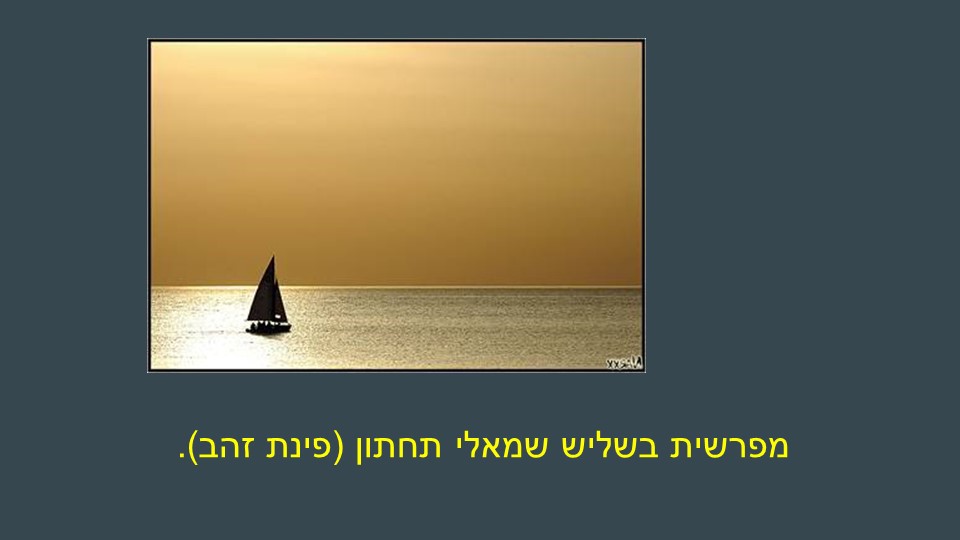דוגמה לחוק השלישים 5