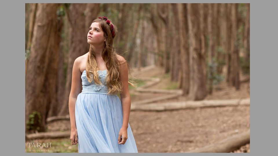 דוגמה לחוק השלישים 7