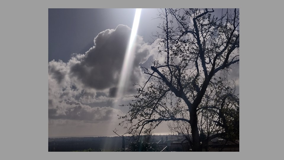 דוגמה לחוק השלישים 9